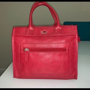 Carpisa purse
